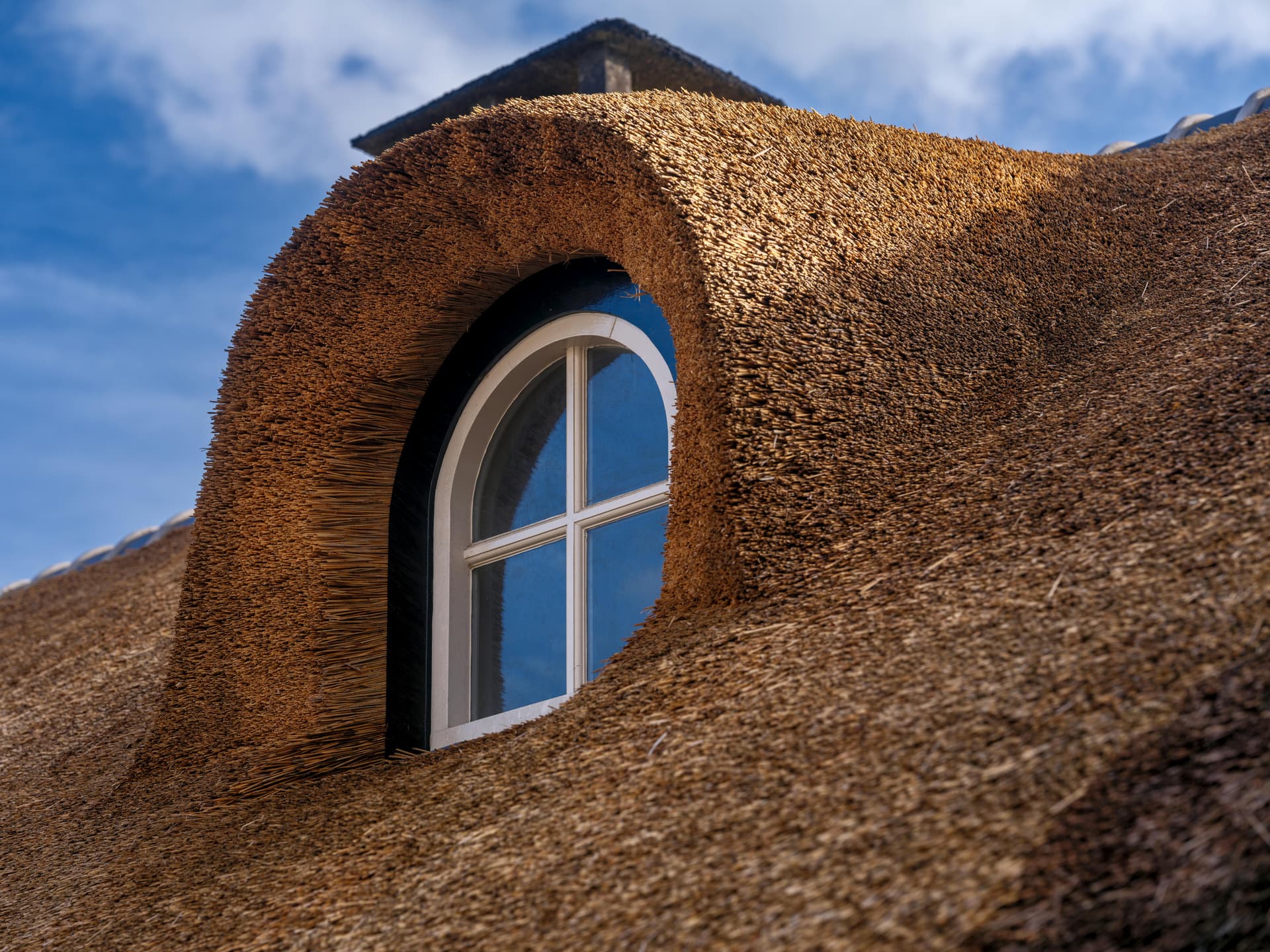Thatch Roof Design Consultation