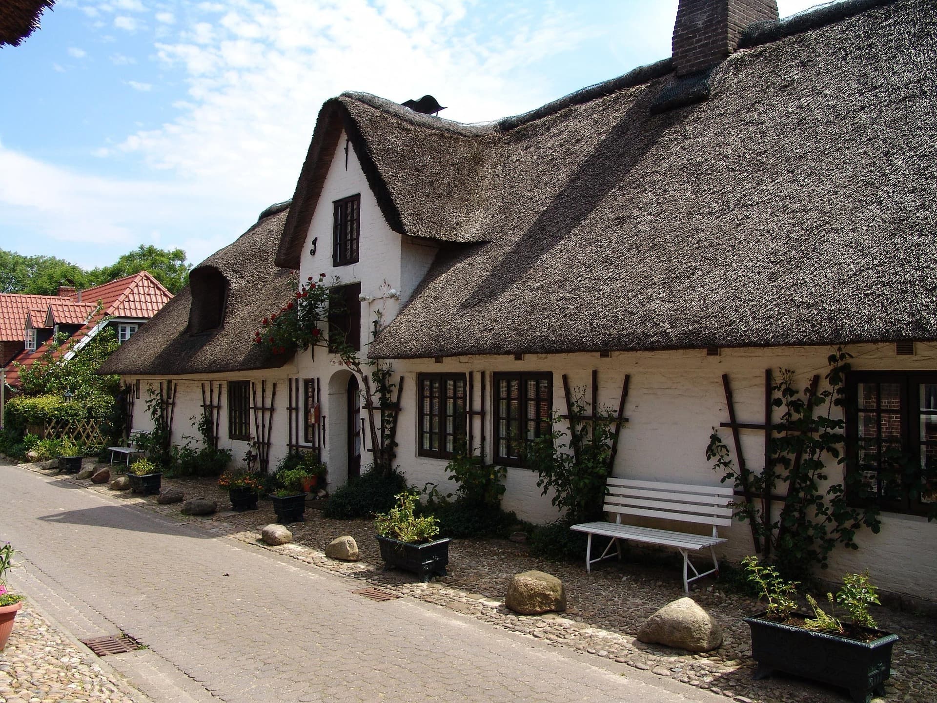 Dorset Thatchers image